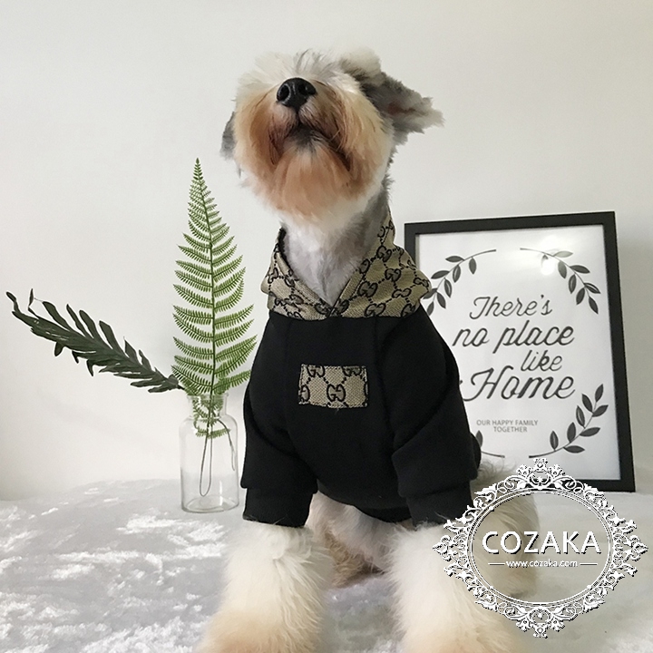 gucci 犬服