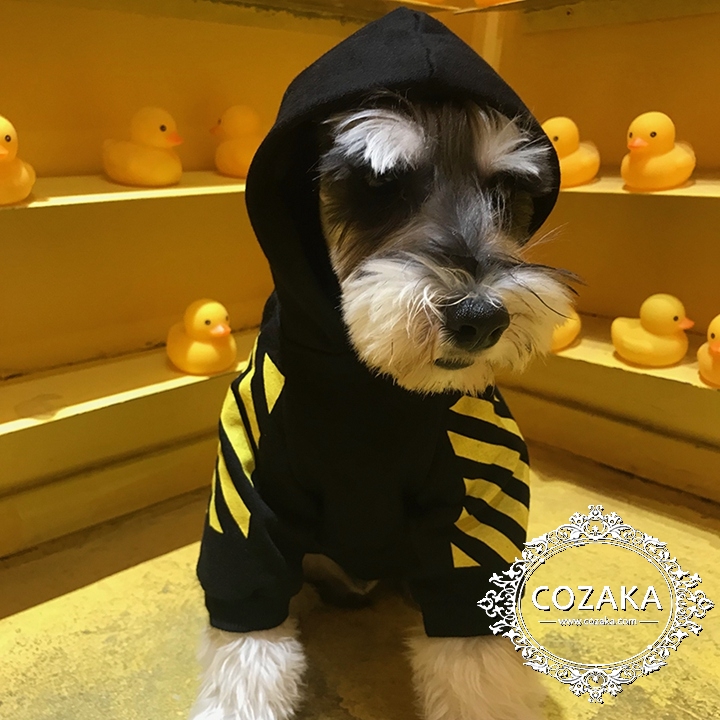 offwhite パーカー 犬と一緒