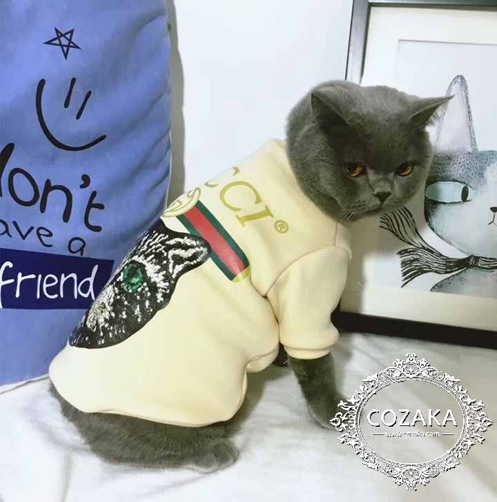 gucciエキゾチックショートヘア