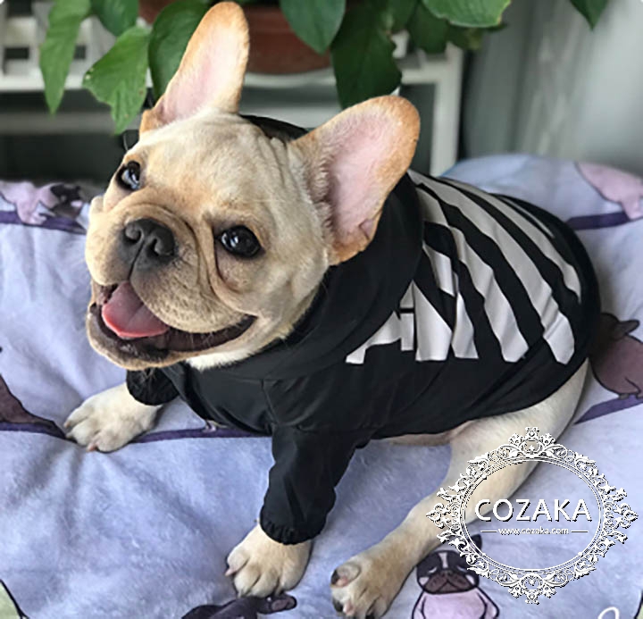 中小型犬ペット服