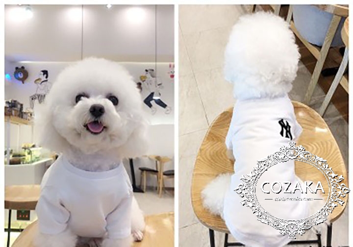 ブランド 犬服 Tシャツ お飼い主とのペアルック 親子服 春 夏 ペット洋服 おすすめ8選 | cozakaのブログ