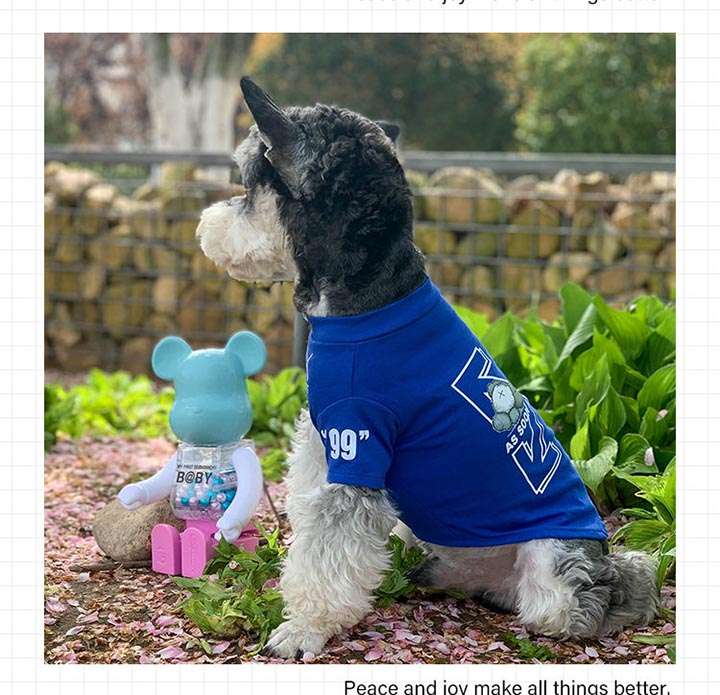 ペット用服kaws