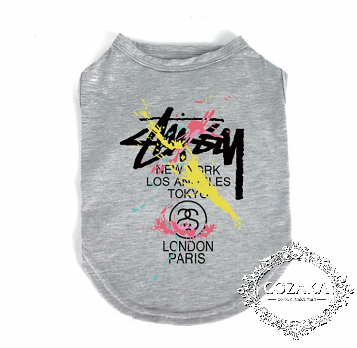 Stussy 欧米風