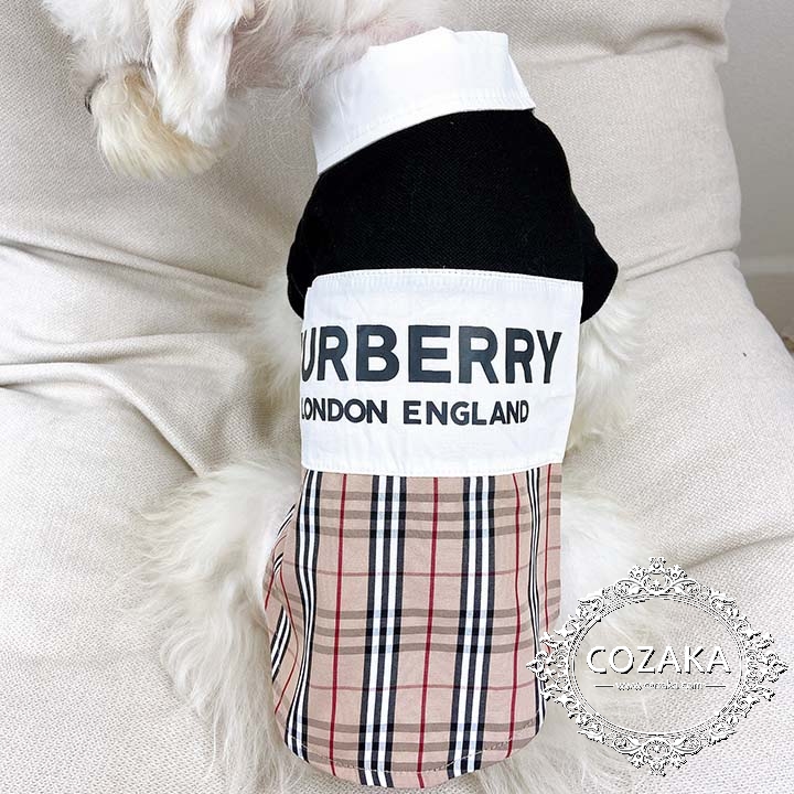Burberry 犬服