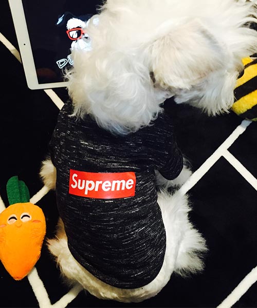 シュプリーム 犬 tシャツ,ボックスロゴ supreme ドッグウェア,韓国通販