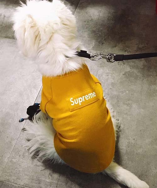 シュプリーム ドッグウェア イエロー,ストレート SUPREME 犬服,通販