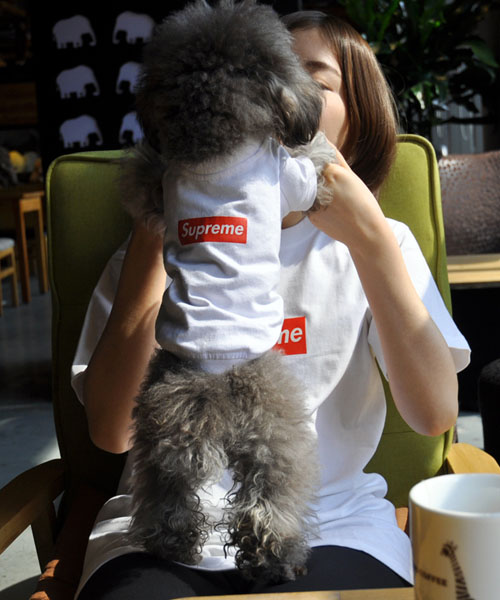 シュプリーム ボックスログ 犬服 Tシャツ 犬とお揃い ホワイト