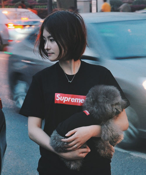 シュプリーム 犬服 通販,ペットウェア Supreme ボックスログTシャツ