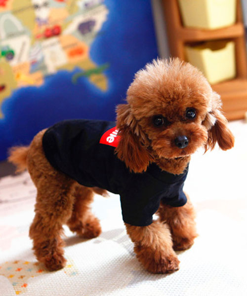 ドッグウェア パーカー シュプリーム,supreme 犬服 おしゃれ