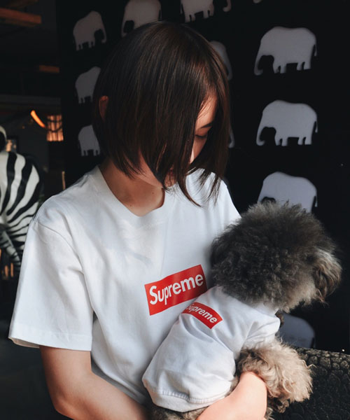 シュプリーム ドッグウェア ボックスログ,SUPREME シンプル Tシャツ