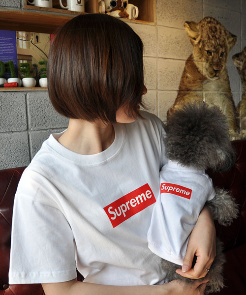 シュプリーム ドッグウェア ボックスログ,SUPREME シンプル Tシャツ