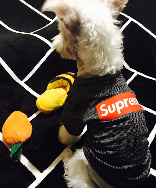 シュプリーム 犬 tシャツ,ボックスロゴ supreme ドッグウェア,韓国通販