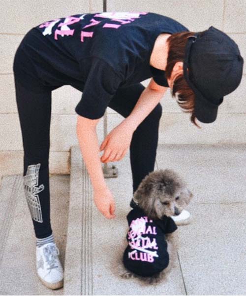 アンチソーシャルソーシャルクラブ 犬用 ロゴtシャツ,anti social social club ペット用 カットソー 猫服 親子服 サイズ感