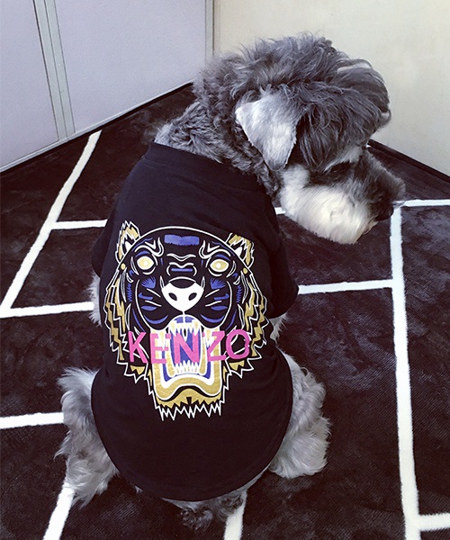 ケンゾー タイガー tシャツ 犬用,kenzo tiger 犬服,通販