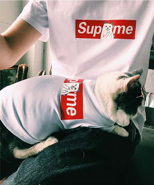 シュプリーム ボックスロゴtシャツ 犬,パロディ supreme 猫用tシャツ