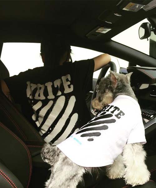 オフホワイト tシャツ,off white 衣服 レディース,white 犬服 通販