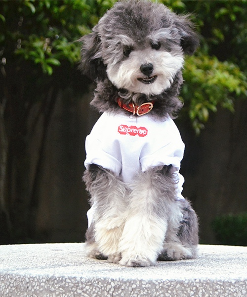 ヴィトン シュプリーム ドッグウェア tシャツ,LV X SUPREME 犬服 パロディ