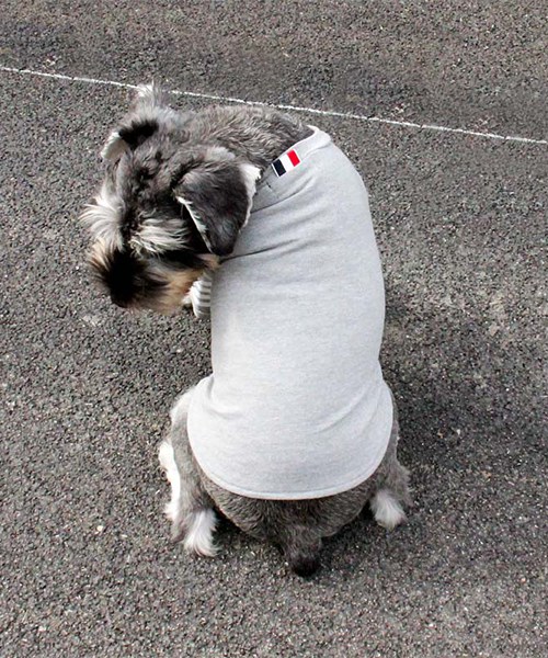 thom browne 犬服 tシャツ,トムブラウン 犬用 パロディ長袖