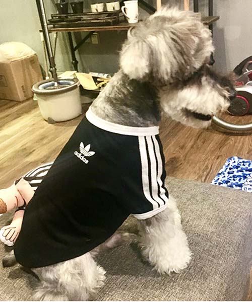 アディダス オリジナルス 犬服,adidas パピーウェア tシャツ かわいい,通販