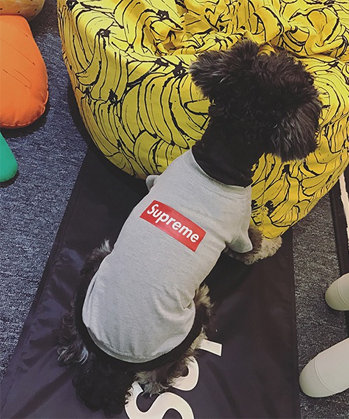 シュプリーム 猫服 ボックスロゴtシャツ Supreme 犬用 半袖 ストレート系 パロディー ドッグウェア グレー 韓国 通販 シュプリーム 猫服 ボックスロゴtシャツ Supreme 犬用 半袖 ストレート系 パロディー ドッグウェア グレー 韓国 通販