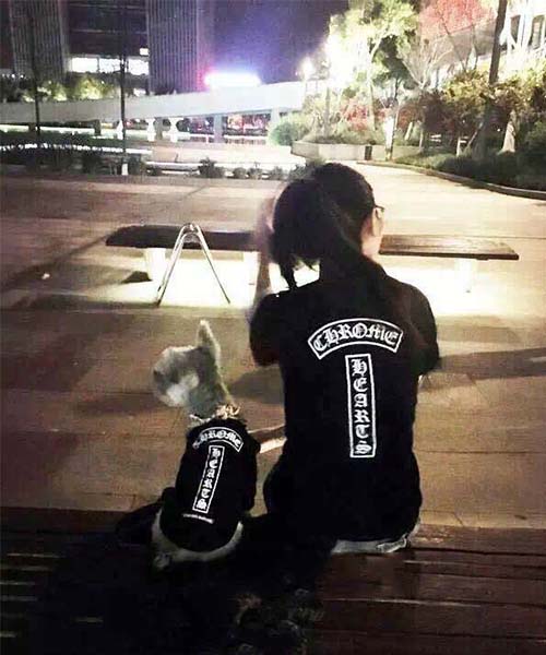 クロームハーツ 犬服 tシャツ,chrome hearts パピーウェア