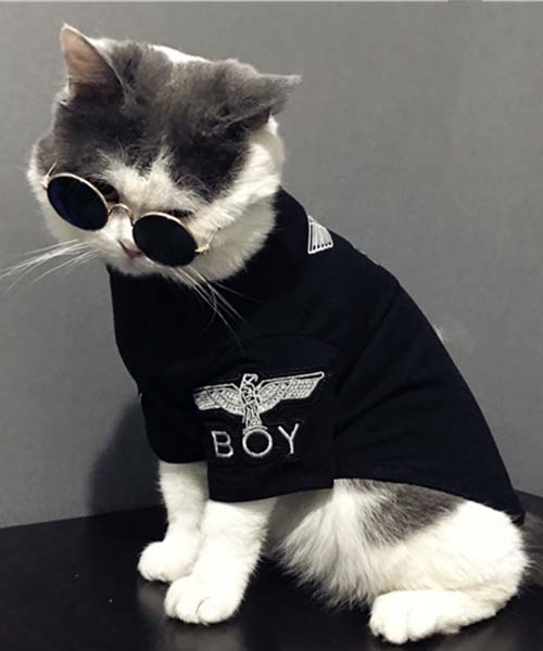 ボーイロンドン 犬服 tシャツ,boy london 小型犬洋服 イーグルboy刺繍柄,通販