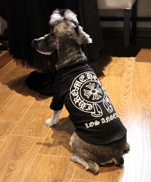 クロームハーツ 犬 tシャツ,Chrome Hearts ドッグウェア Tシャツ,通販