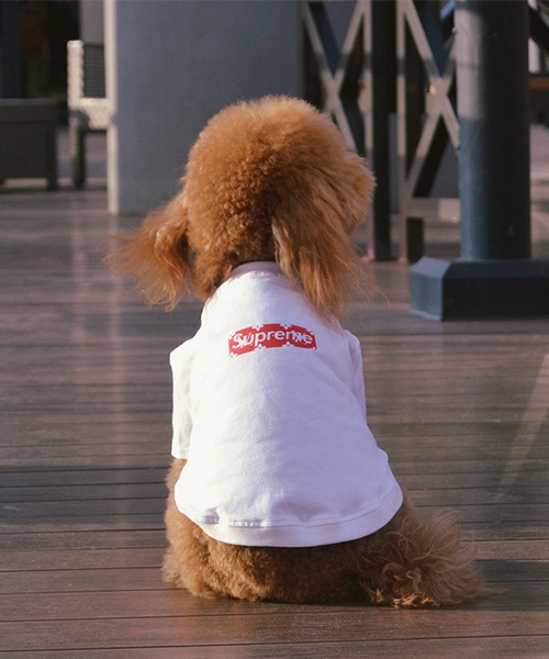 ヴィトン シュプリーム ドッグウェア tシャツ,LV X SUPREME 犬服 パロディ