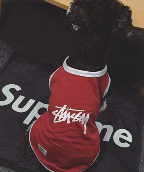 ステューシー 犬用 タンクトップ, stussy ドッグウェア シャツ 薄手