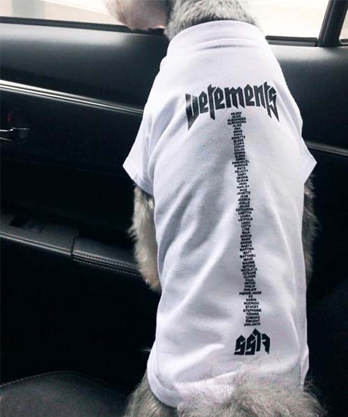 ヴェトモン ロゴtシャツ オーバーサイズ,vetements 犬服 半袖,通販