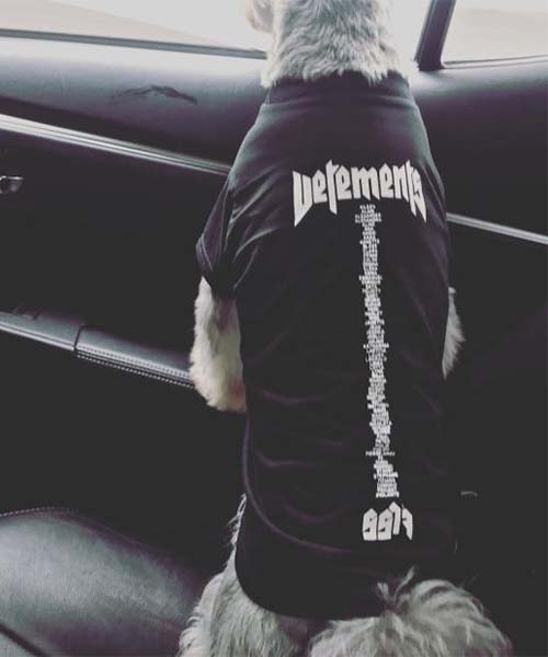 ヴェトモン ロゴtシャツ オーバーサイズ,vetements 犬服 半袖,通販
