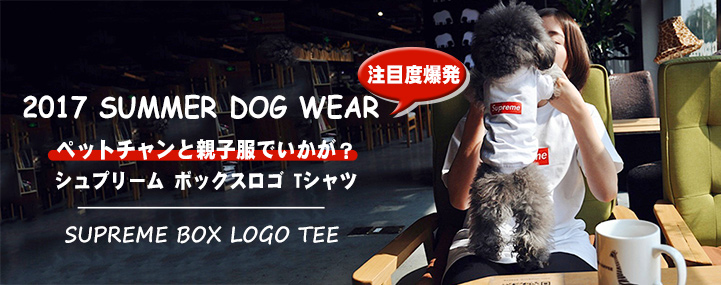 シュプリーム(SUPREME)超鉄板ボックスロゴドッグウェアtシャツが韓国通販！｜COZAKA.net