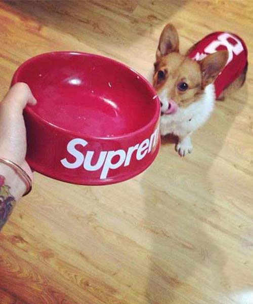 犬 フードボウル シュプリーム 陶磁器の容器 supreme ペットフードボウル 餌入れ 水飲み器 灰皿 格安オンライン通販