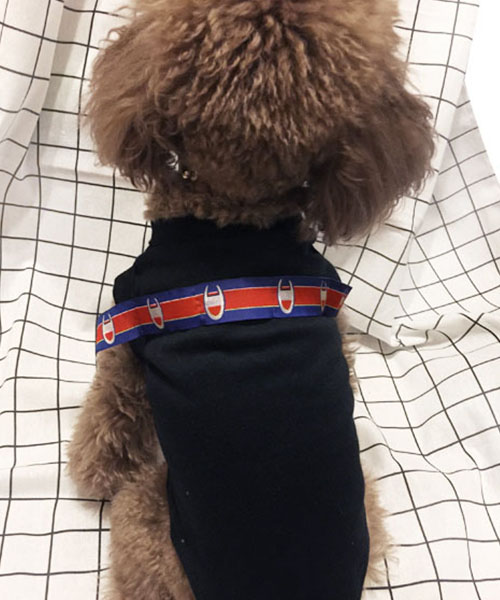 ヴェトモン チャンピオン 犬服 タンクトップ,vetements champion 大型犬 服,オンライン