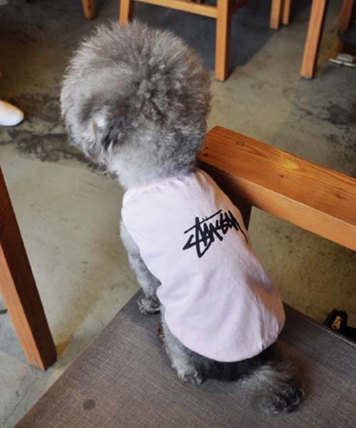 ステューシー tシャツ ピンク,stussy 犬服 犬とのおしゃれペアルック