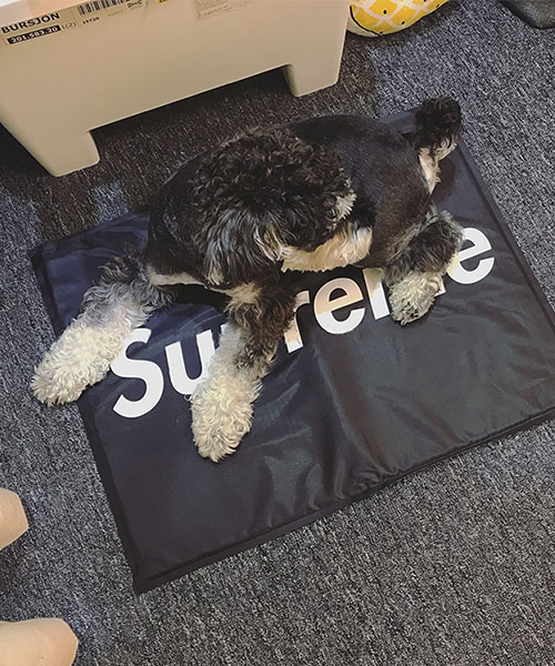 シュプリーム 犬用ベット ひんやりマット,Supreme クール マット,激安通販