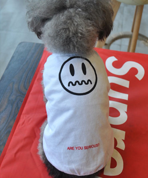 スケボーブランド 犬服 ペアルック tシャツ,小型犬 犬との親子服 通販