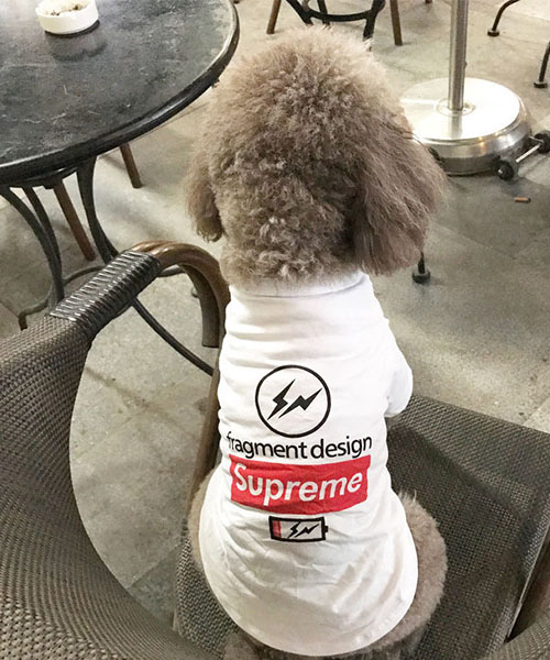 シュプリーム x フラグメントデザイン 犬服 tシャツ,supreme  Fragment Design 犬とのペアルック