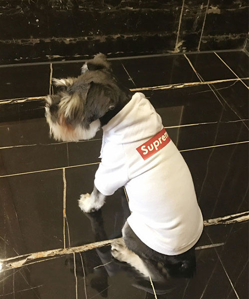 シュプリーム 犬服 パーカー,supreme 犬用 フーディー