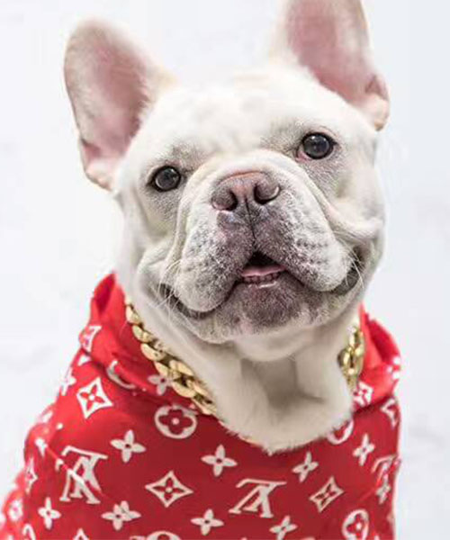 シュプリーム x ルイヴィトン 犬服 パーカー,supreme x lv 犬用フーディー