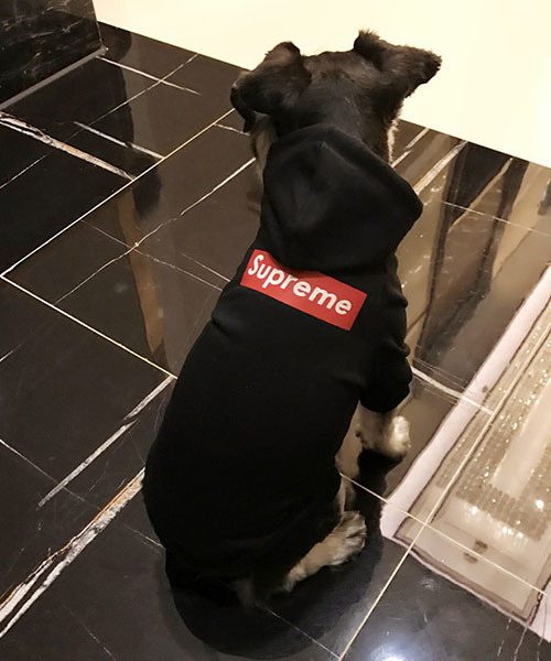 シュプリーム 犬服 パーカー,supreme 犬用 フーディー