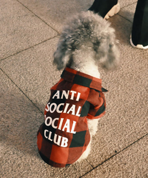 assc 犬服 チェックシャツ 赤,ブランド チェックシャツ レディース 犬とのペアルック
