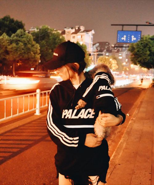 palace adidas パーカー  犬服,アディダス パレス パーカー ドッグウェア