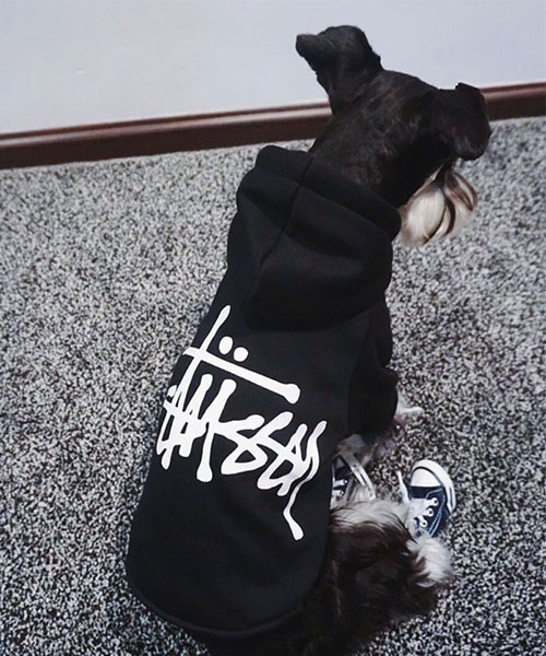 ステューシー パーカー 犬服, Stussy ドッグウェア プルオーバー