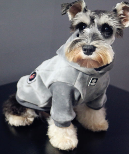 犬服 aape パーカー エーエイプ ドッグウェア フーディー おしゃれ 小型犬 中型犬洋服 通販