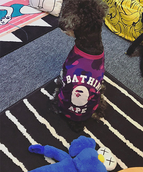 犬服 a bathing ape tシャツ,ア ベイシング エイプ 迷彩 ドッグウェア