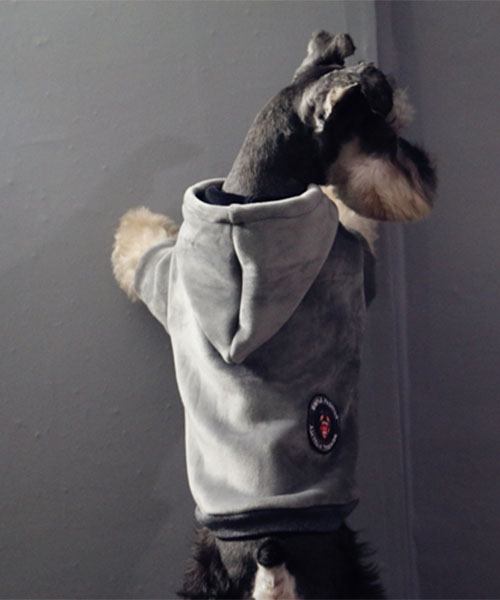 犬服 AAPE パーカー ,エーエイプ ドッグウェア フーディー,通販