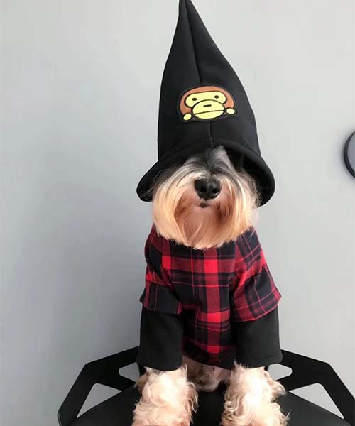 baby milo 犬服 パーカー,赤いチェック ベイビーマイロ ドッグウェア