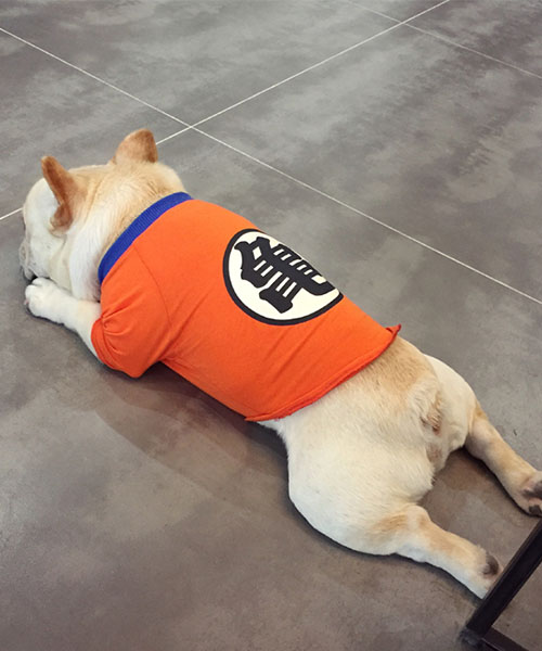 ドラゴンボール 孫悟空 犬服,DRAGON BALL かわいい ドッグウェア