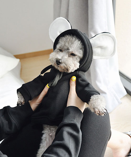 ビッグ耳付のパーカー 犬服 韓国,おしゃれ ドッグウェア 黒いプルオーバー